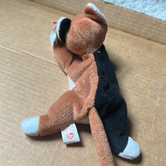 Ty beanie baby. Cat / kitten “Chip” Great condition. Tag still attached. - Picture 2 of 4